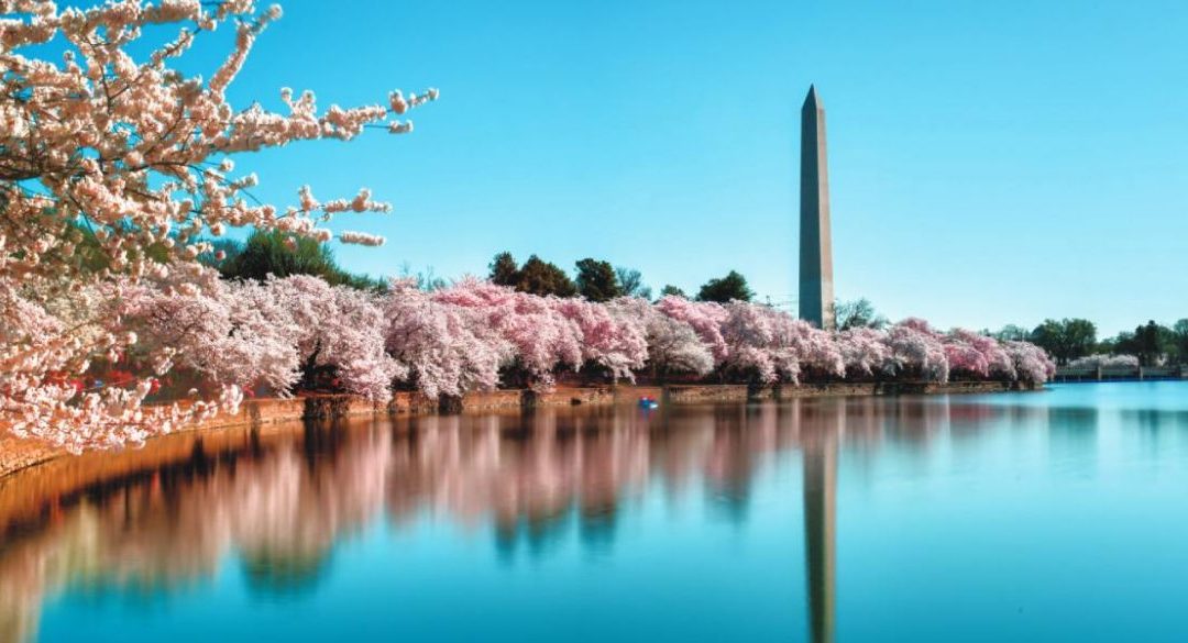 Washington DC: A Capital Choice!
